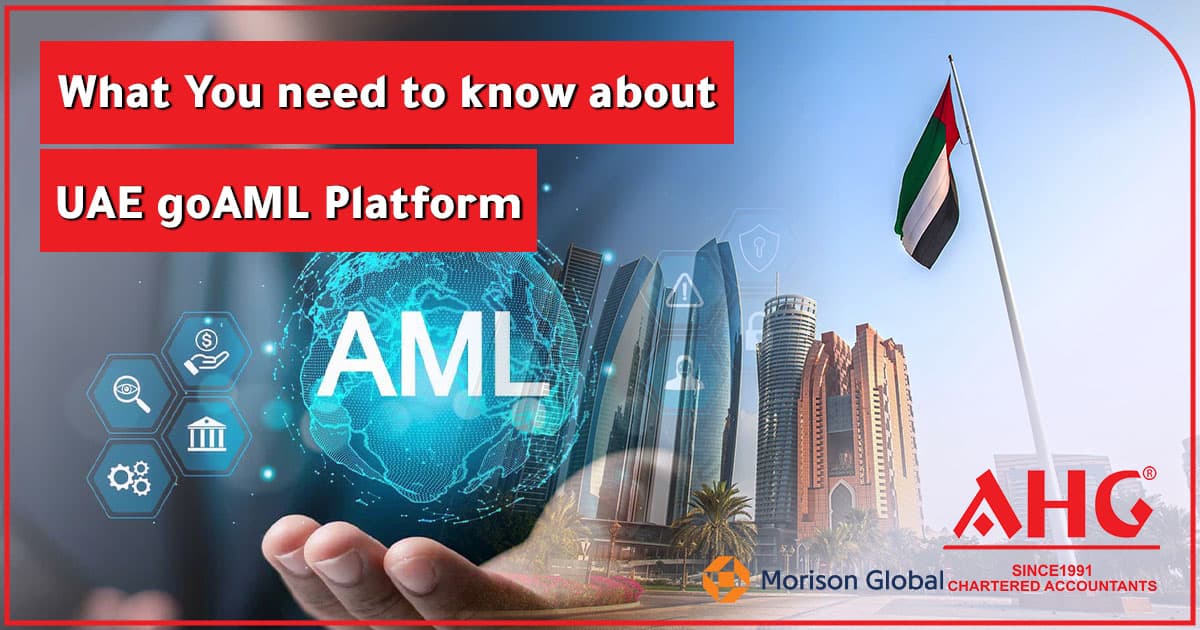 UAE goAML Platform